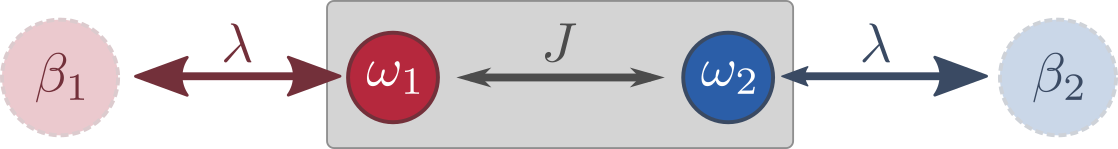 Set-up of the open Bose dimer